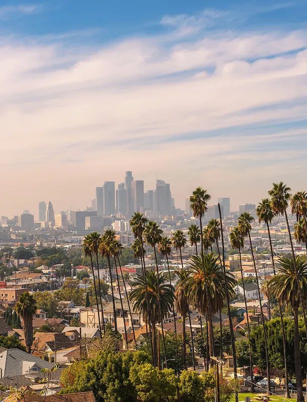 Los Angeles County moving service area